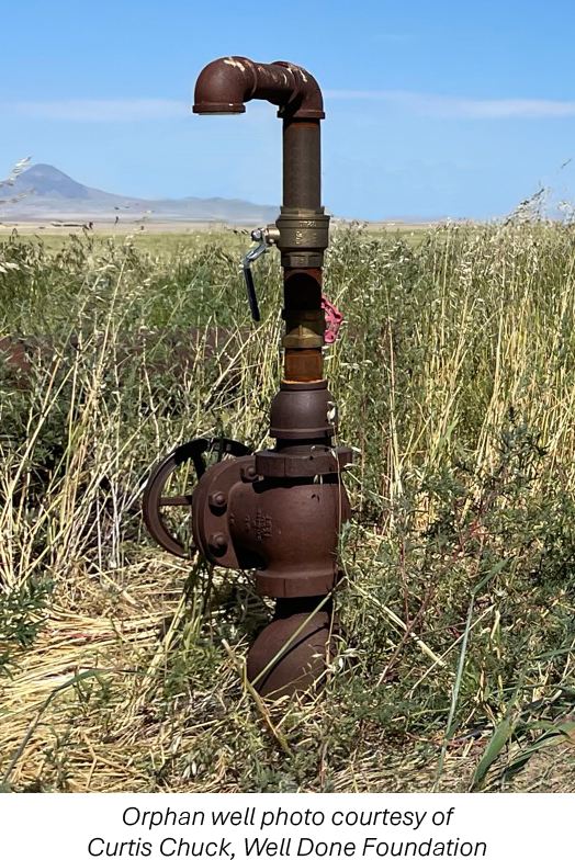 Orphaned well in field